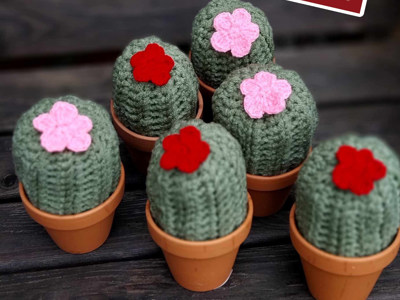 Crochet Cacti 1